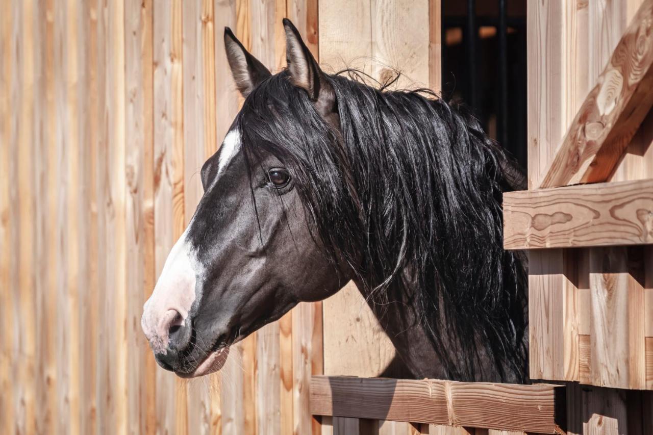 Ranchhouse Bubble - Westernstable - Horse Elterlein Экстерьер фото